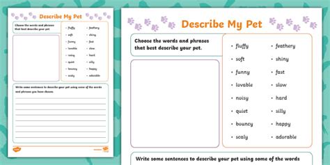 Describe My Pet Worksheet (teacher made) - Twinkl