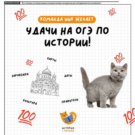 История и котики | ЕГЭ, ОГЭ 2024 | ВКонтакте
