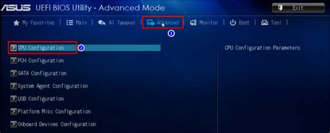 Advanced CPU Config 的图像结果