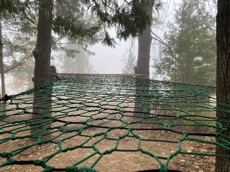 Image result for How to Bilde a Tree Nete