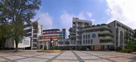 深圳蛇口国际学校2023年招生政策