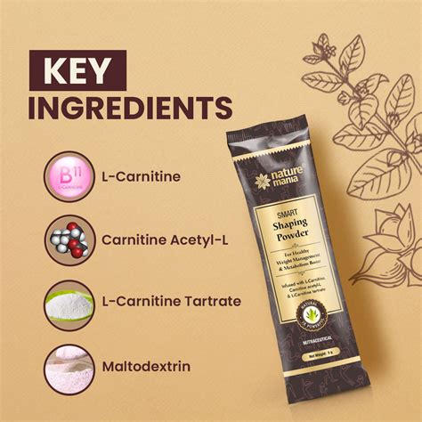 Nature Mania Smart Shaping Powder | Weight Loss | Fat Burner - Pack of ...