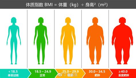 Is BMI An Accurate Way To Measure Body Fat? Here’s What Science Says…
