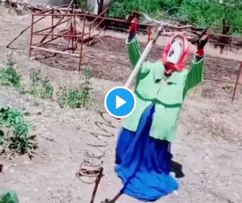 Viral Video of This Swinging Scarecrow Leaves Internet Scared, People ...