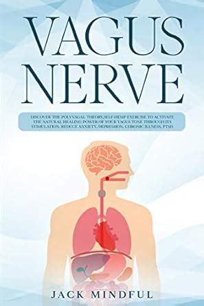 Vagus Nerve: discover the polyvagal theory, self-hemp exercise to ...