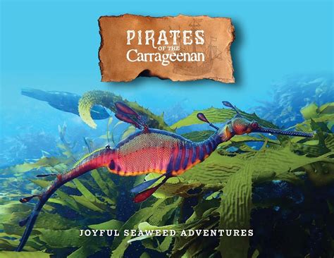 Pirates of the Carrageenan: Joyful Seaweed Adventures : Merridew, Nancy ...