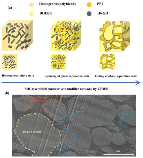 Image result for Electrically Conductive Percolation