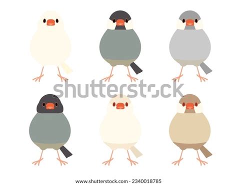 Fawn Java 的图像结果