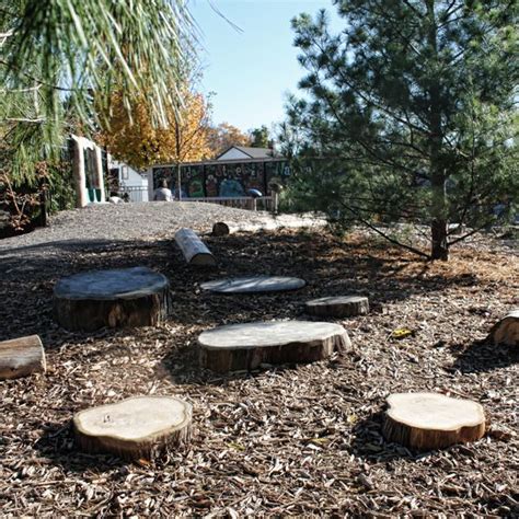 Image result for Natural Obstacle Course