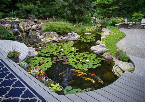 Butterfly Spanish Tutorial 的图像结果