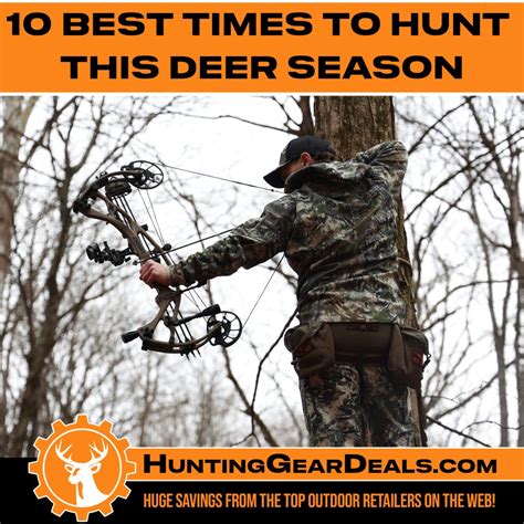 When Is The Best Time To Hunt Deer: Science And Strategy