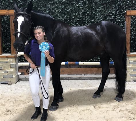 Dancing with Horses | Prince William Living