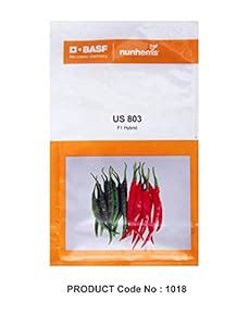 Buy Nunhems Organic F1 Hybrid Hot Pepper US 803 High yielding Vegetable ...