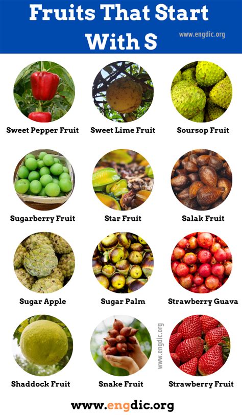 48 Fruits That Start With S (Properties and Pictures) - EngDic