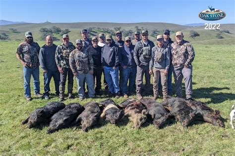 Wild Pig Hunts - California All Inclusive Guided Pig Hunts