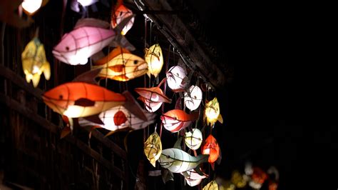 China Landmarks: Fish lanterns on the streets of Xiangshan - CGTN