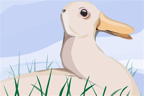 Rabbit Duck Illusion – lightcolourvision.org