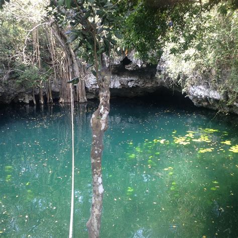 CENOTE VERDE LUCERO (2025) All You Need to Know BEFORE You Go (with ...