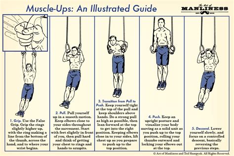 Image result for Muscle Up Tutorial
