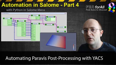 Salome Python Automation 的图像结果