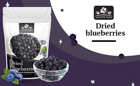 NATURE YARD Blueberry dry fruit without sugar -Organic Unsweetened ...