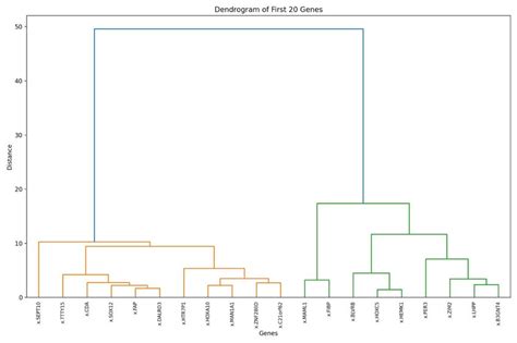 Graph Types 的图像结果