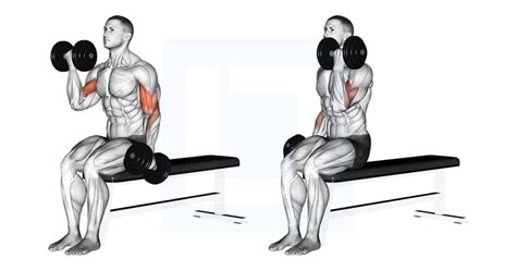 Curling Exercise 的图像结果