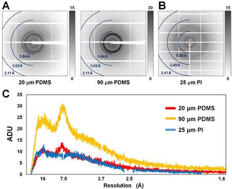Radiation Damage of Polydimethylsiloxane and Polyimide by X-ray Free ...
