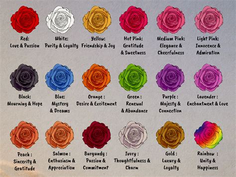 Image result for HTML Color Codes Programing