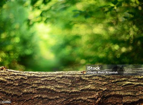 Image result for Logo Background for Log