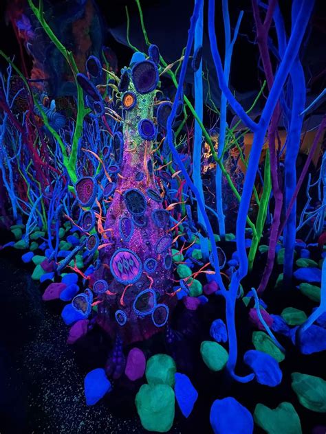 Image result for Meow Wolf Patterns