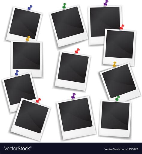 Image result for Vectror Photo