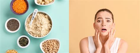 Plant based Protein Powders
