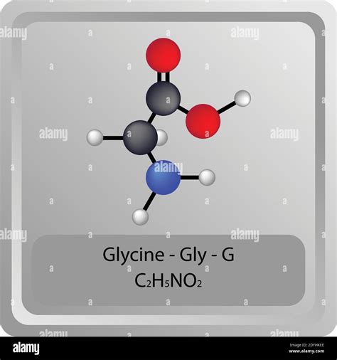 Amino Acid Structure Glycine at Joanne Tindall blog