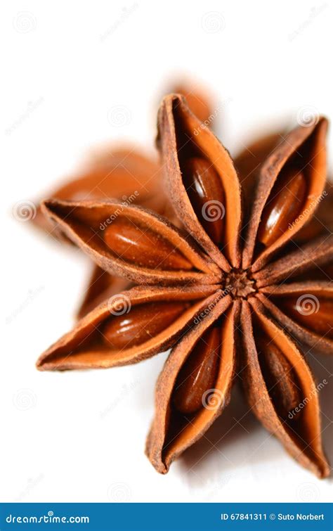 Star anise spice stock image. Image of plant, anise, closeup - 67841311