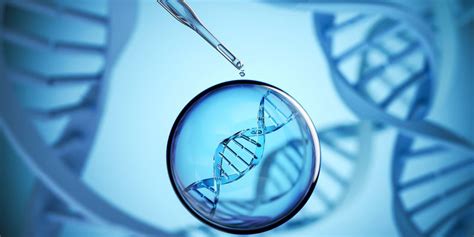 Image result for DNA vs RNA Extraction