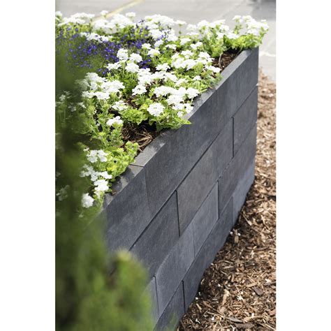 Diephaus Schalungsstein »Schalungsstein«, BxHxL: 24 x 25 x 50 cm, Beton ...