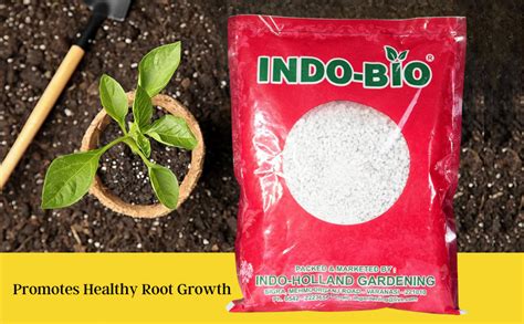 INDO-BIO Perlite For Gardening&Plants Succulent Soil Mix|Hydroponics ...