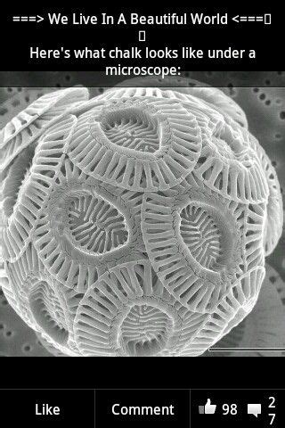 Image result for Cache Microscopic