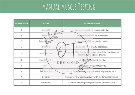 Manual Muscle Testing Chart Printable | FREE Printable