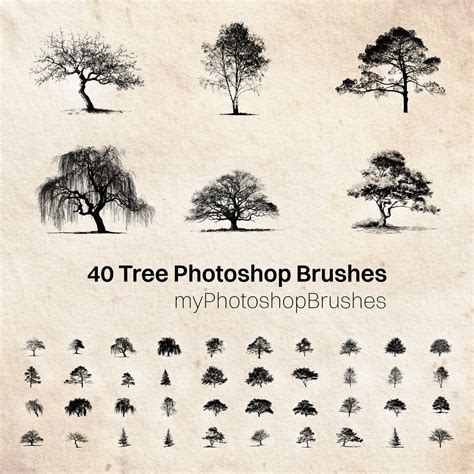 Free Nature Photoshop Brushes & Landscapes | MyPhotoshopBrushes