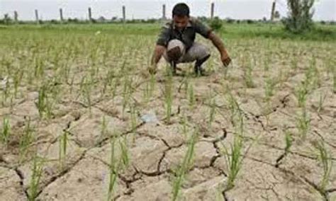 https://assets.thehansindia.com/h-upload/2023/10/13/1388782-krishna-water-delta.jpg