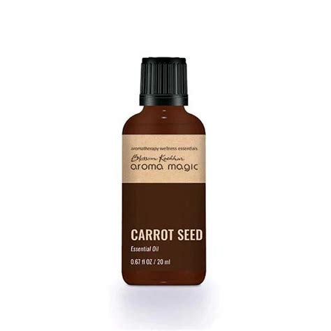 Aroma Magic Carrot Seed Essential Oil (20ml) – Himkhand
