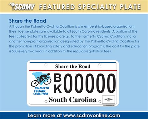 Image result for SCDMV License Plate Frame