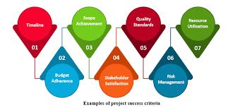 Project Success Criteria Examples 的图像结果