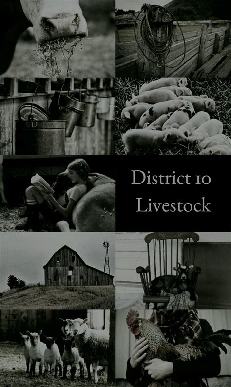 Hunger Games: District 10 (Livestock) | hunger games, hunger games ...