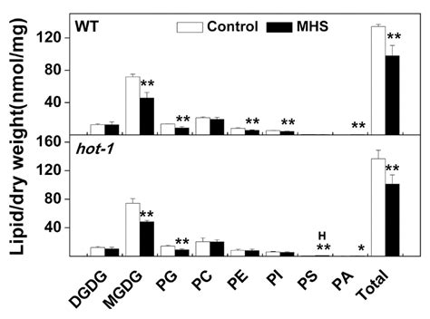 Quantitative Profiling of Arabidopsis Polar Glycerolipids under Two ...