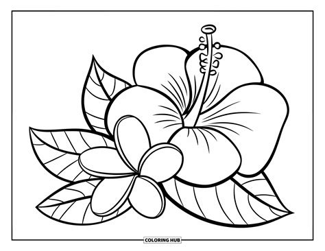 95+ Hawaiian Flower Coloring Pages for Kids & Adults (Free Printable PDFs)