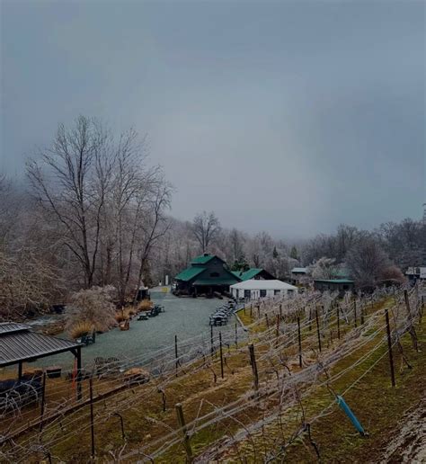 Grandfather Vineyard & Winery (@grandfather_vineyard) • Instagram ...