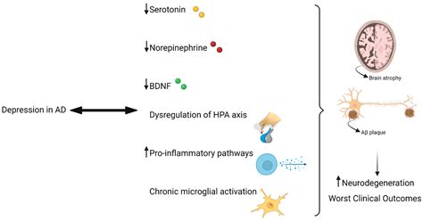 Antidepressants in Alzheimer’s Disease: A Focus on the Role of Mirtazapine